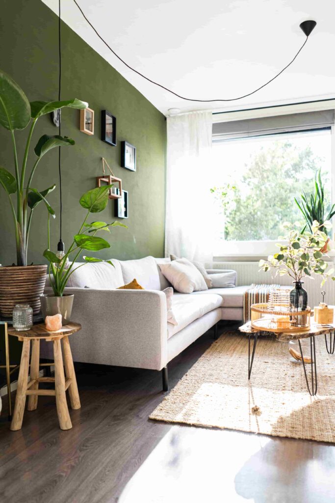 green living room with white sofa and plants